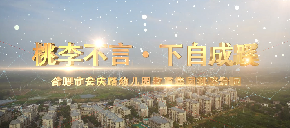 案例展示 教育類
